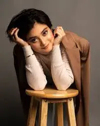 نور  هوشمند