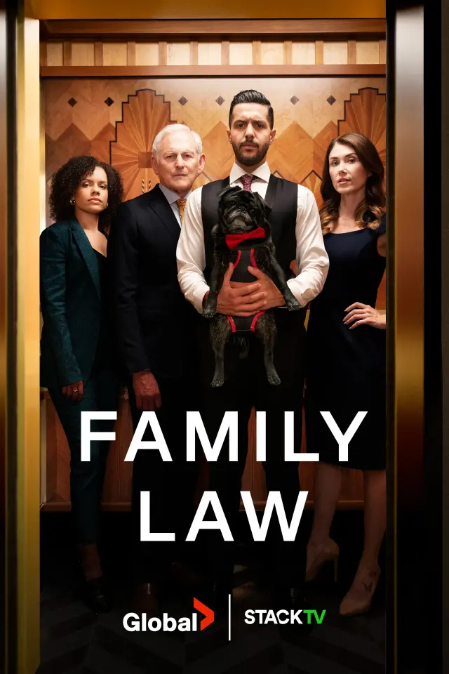 سریال وکالت خانوادگی (Family Law) پوستر