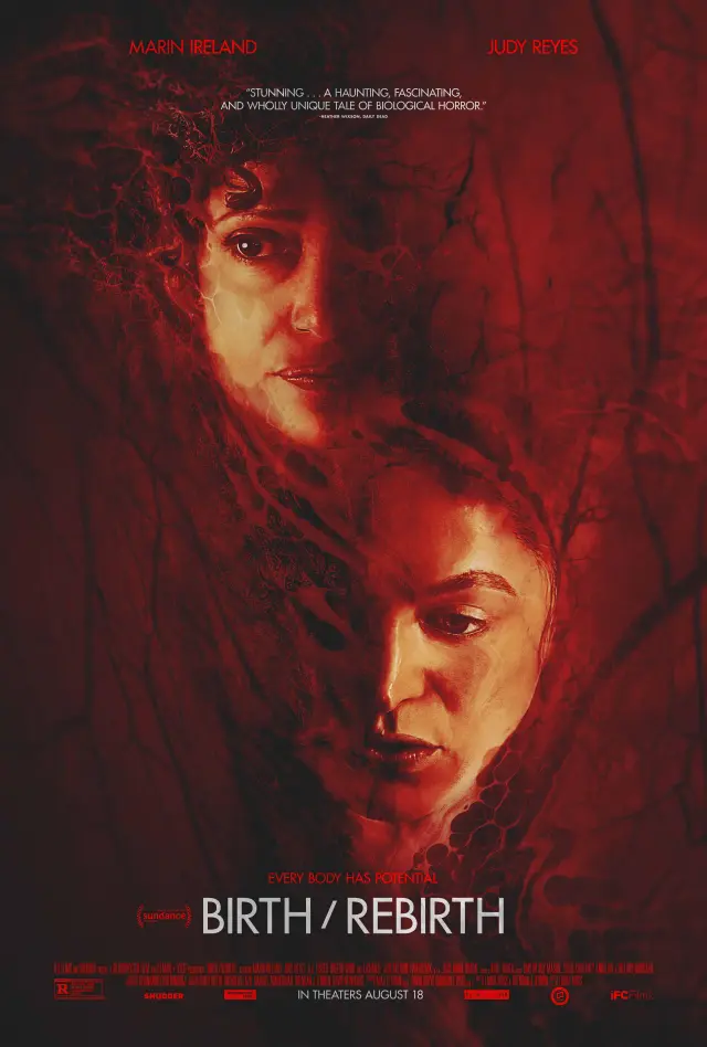 فیلم تولد/تولد دوباره (Birth/Rebirth) پوستر