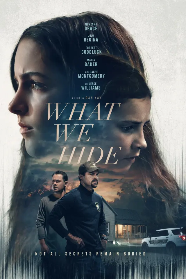 فیلم آنچه پنهان می کنیم (What We Hide) پوستر