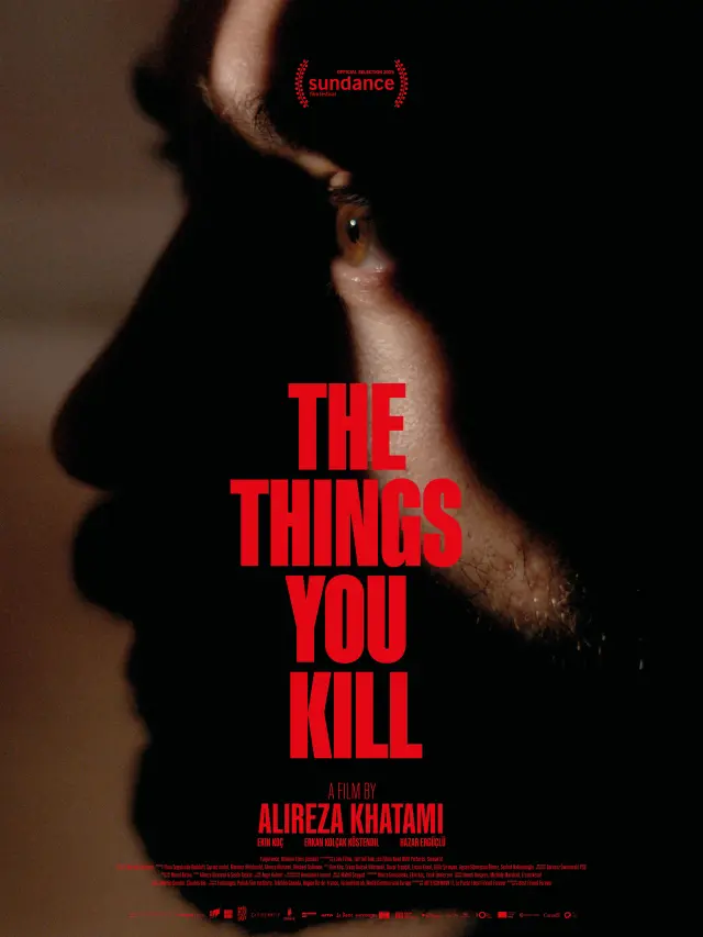 فیلم چیزهایی که می کشی (The Things You Kill) پوستر