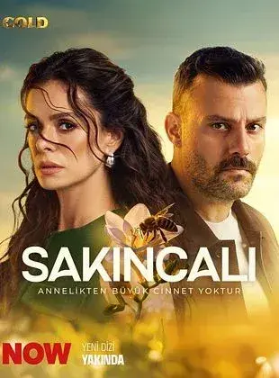 سریال مشکل ساز  (Sakincali) پوستر