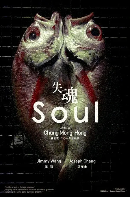 فیلم روح 2013