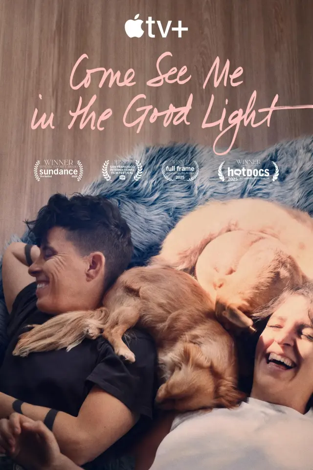 مستند بیا من را در نور خوب ببین (Come See Me in the Good Light) پوستر