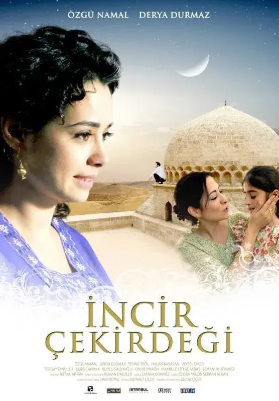 فیلم دانه انجیر (Not Worth a Fig) پوستر