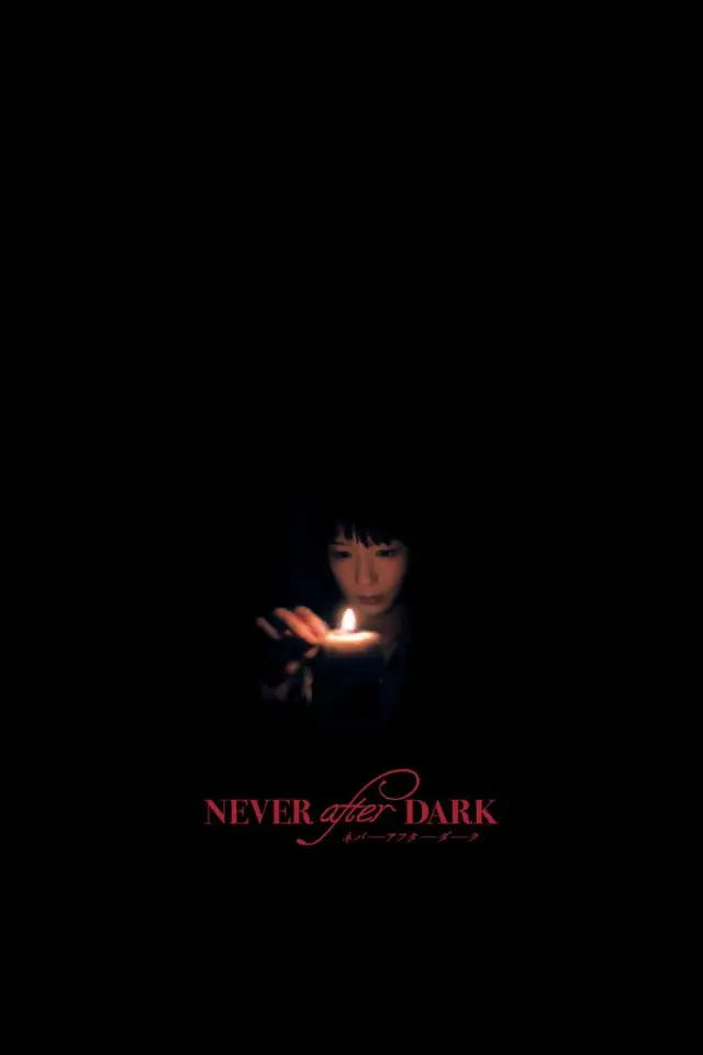 فیلم هرگز پس از تاریکی (Never After Dark) پوستر