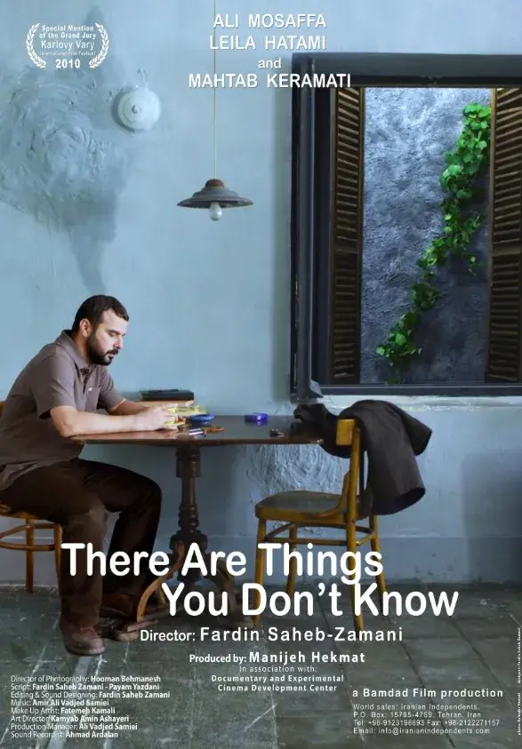 فیلم چیزهایی هست که نمیدانی ۱۳۸۹ (There Are Things You Don't Know) پوستر
