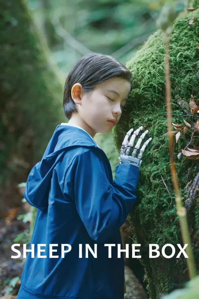فیلم گوسفند در جعبه (Sheep in the Box) پوستر