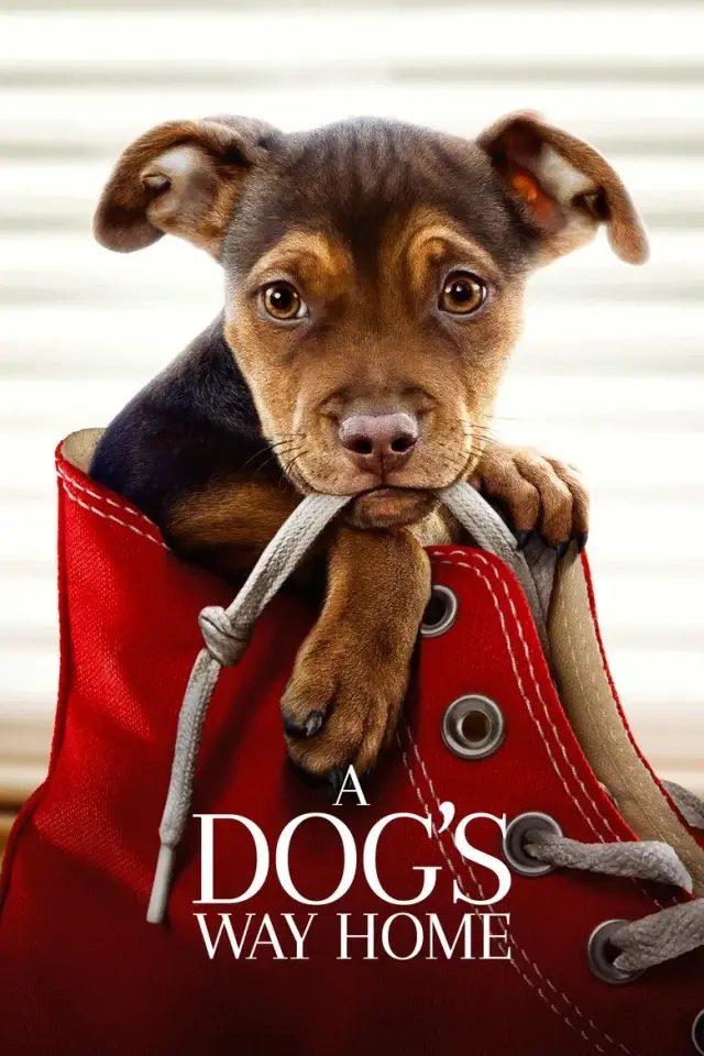 فیلم مسیر بازگشت یک سگ به خانه (A Dog's Way Home) پوستر