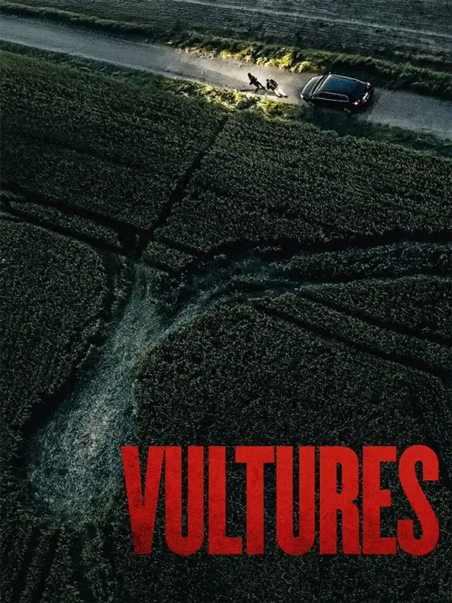 فیلم کرکس ها 2025 (Vultures) پوستر