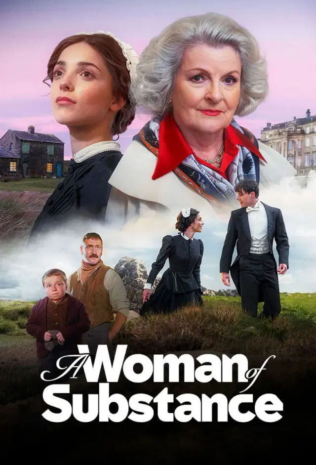 سریال زن ثروتمند 2026 (A Woman of Substance) پوستر