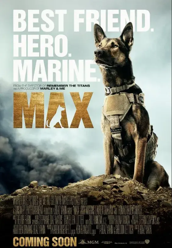 فیلم مکس 2015
