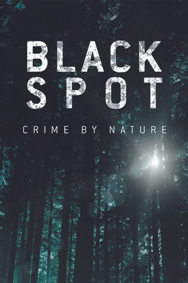 سریال منطقه متروک (Black Spot) پوستر