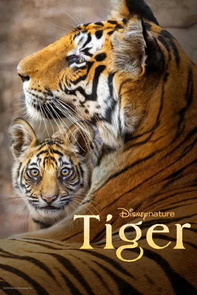 مستند ببر 2024 (Tiger) پوستر