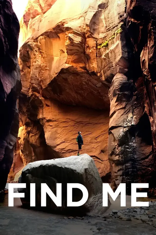 فیلم پیدایم کن (Find Me) پوستر