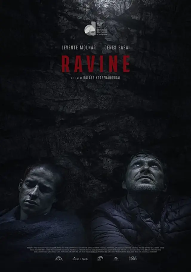 فیلم دره 2021 (Ravine) پوستر