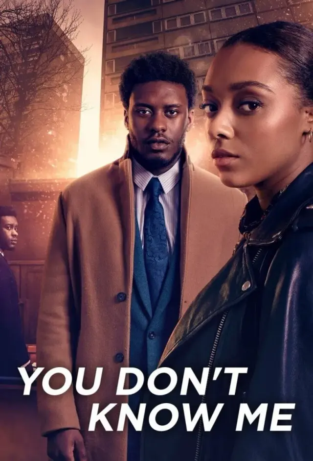سریال شما مرا نمی شناسید (You Don't Know Me) پوستر