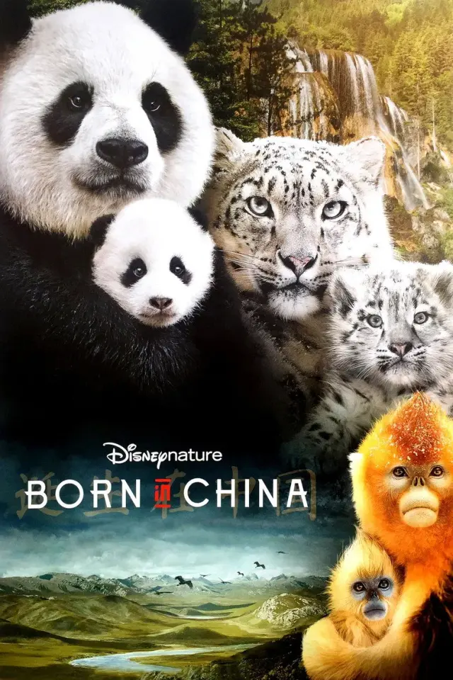مستند متولد چین (Born in China) پوستر