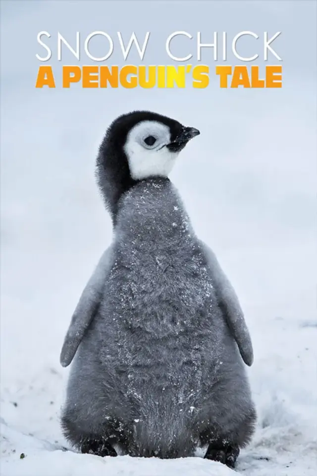 مستند جوجه برفی: داستان یک پنگوئن (Snow Chick: A Penguin's Tale) پوستر