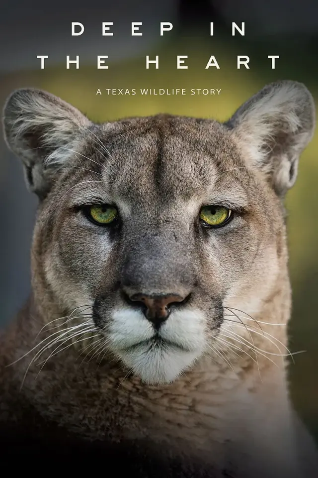 مستند اعماق قلب: داستان حیات وحش تگزاس (Deep in the Heart: A Texas Wildlife Story) پوستر
