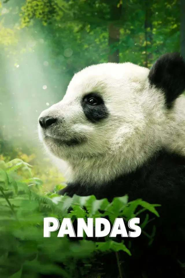 مستند پانداها 2018 (Pandas) پوستر