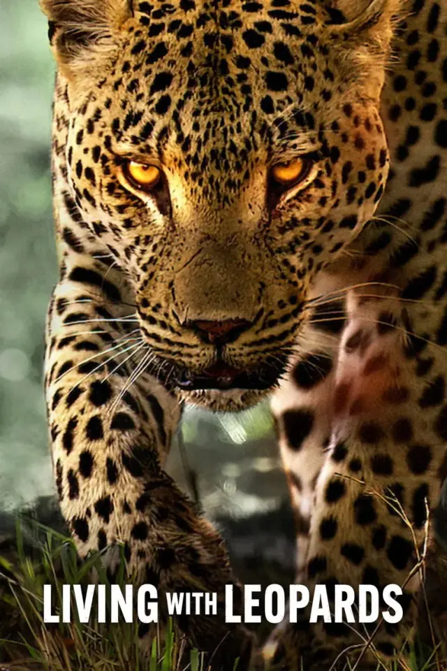 مستند زندگی با پلنگ ها (Living with Leopards) پوستر