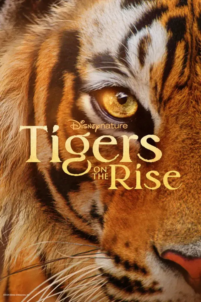 مستند ببرهای در حال ظهور (Tigers on the Rise) پوستر