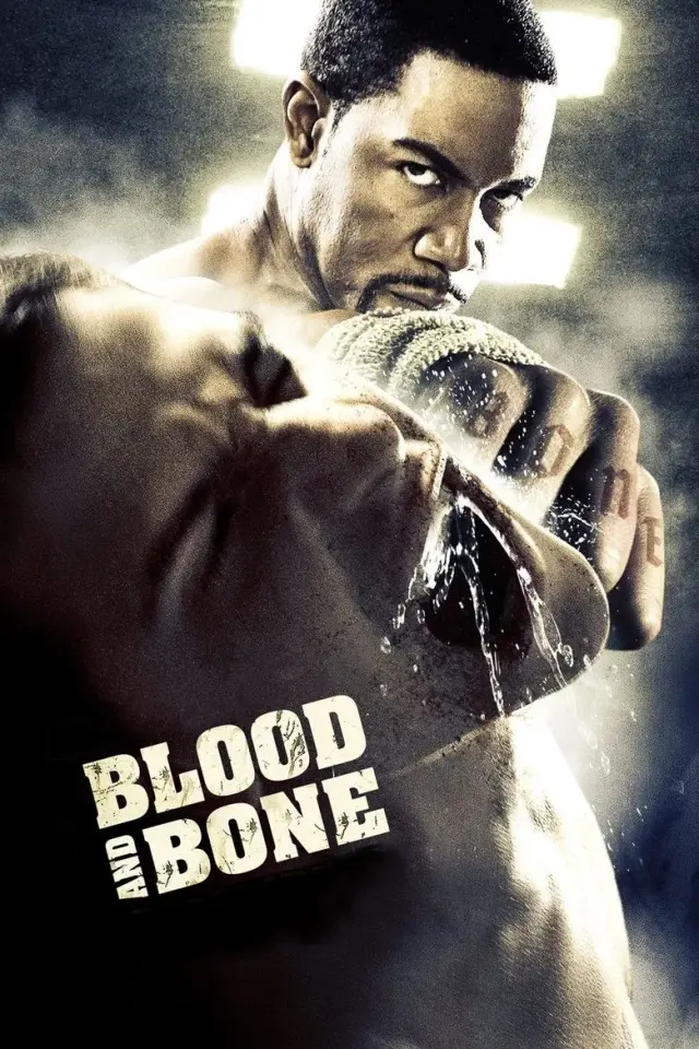 فیلم خون و استخوان 2009 (Blood and Bone) پوستر