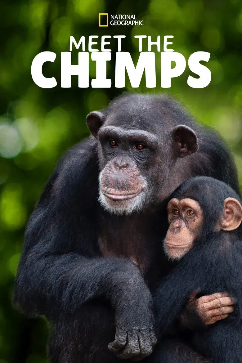 مستند ملاقات با شامپانزه ها