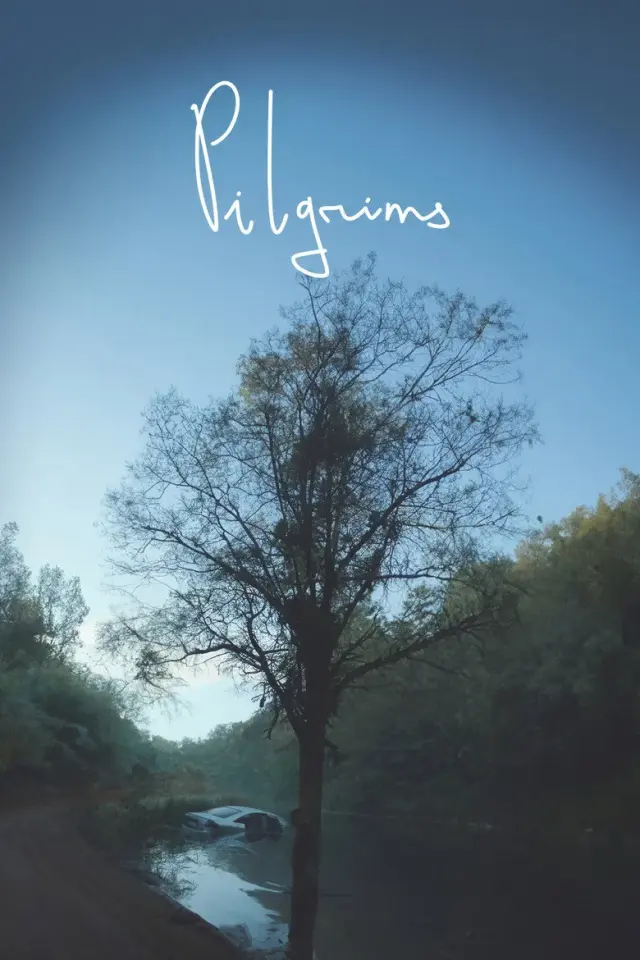 فیلم مسافران 2021 (Pilgrims) پوستر