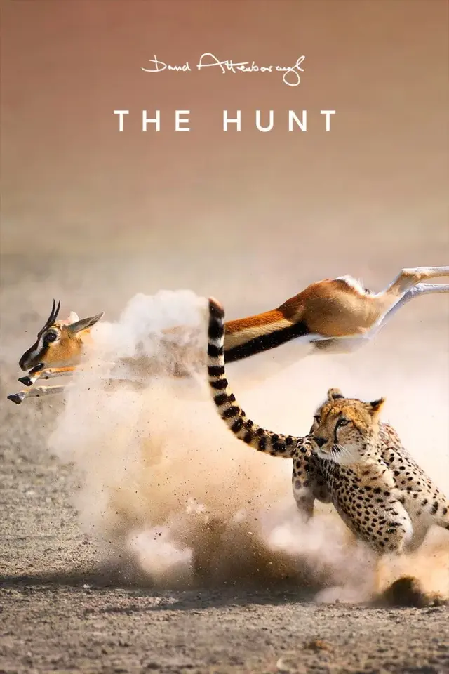 مستند شکار 2015 (The Hunt) پوستر