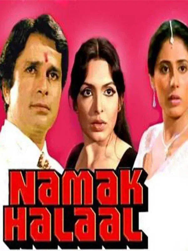 فیلم نمک حلال (Namak Halaal) پوستر