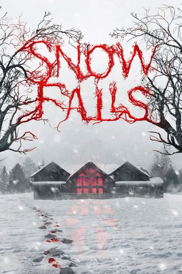 فیلم بارش برف 2023 (Snow Falls) پوستر