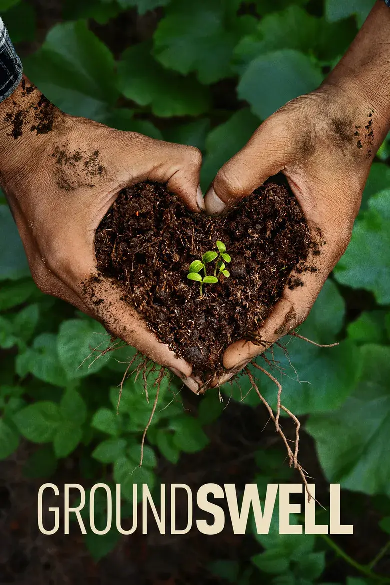 مستند موج دگرگونی